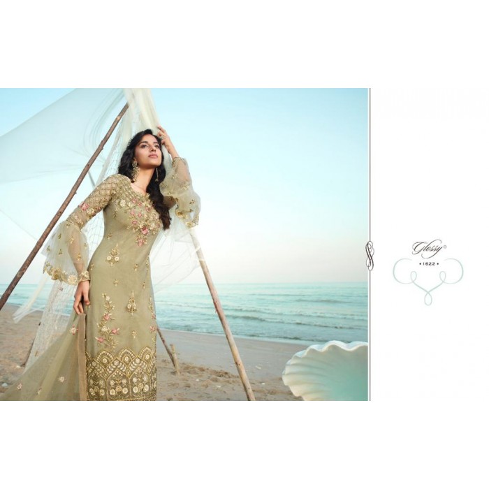 Glossy Qiana Net Embroidery Pakistani Salwar Suits